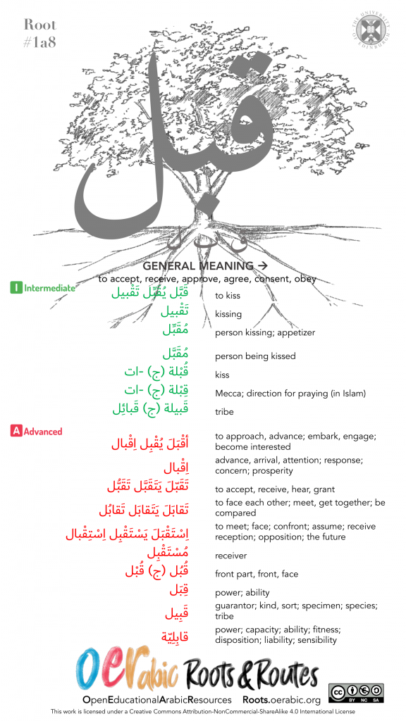 Roots & Routes Arabic Root 1a8 قبل